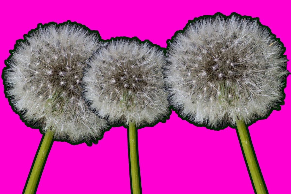 Improving Bitcoin Baselayer Privacy with Dandelion++