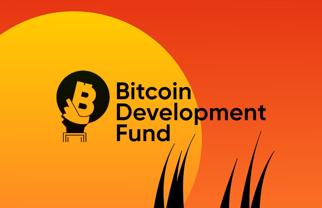 Human Rights Foundation Grants 10 BTC to 23 Bitcoin Projects Worldwide