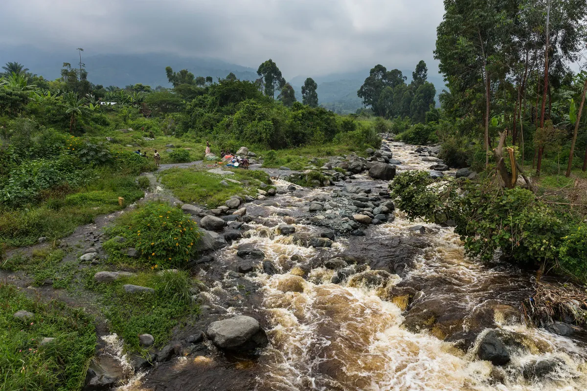 Congo National Park Relies on Hydro Powered Bitcoin Mine for Much Needed Revenue
