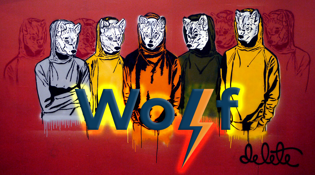 Wolf Lightning Network Accelerator Announced First Cohort