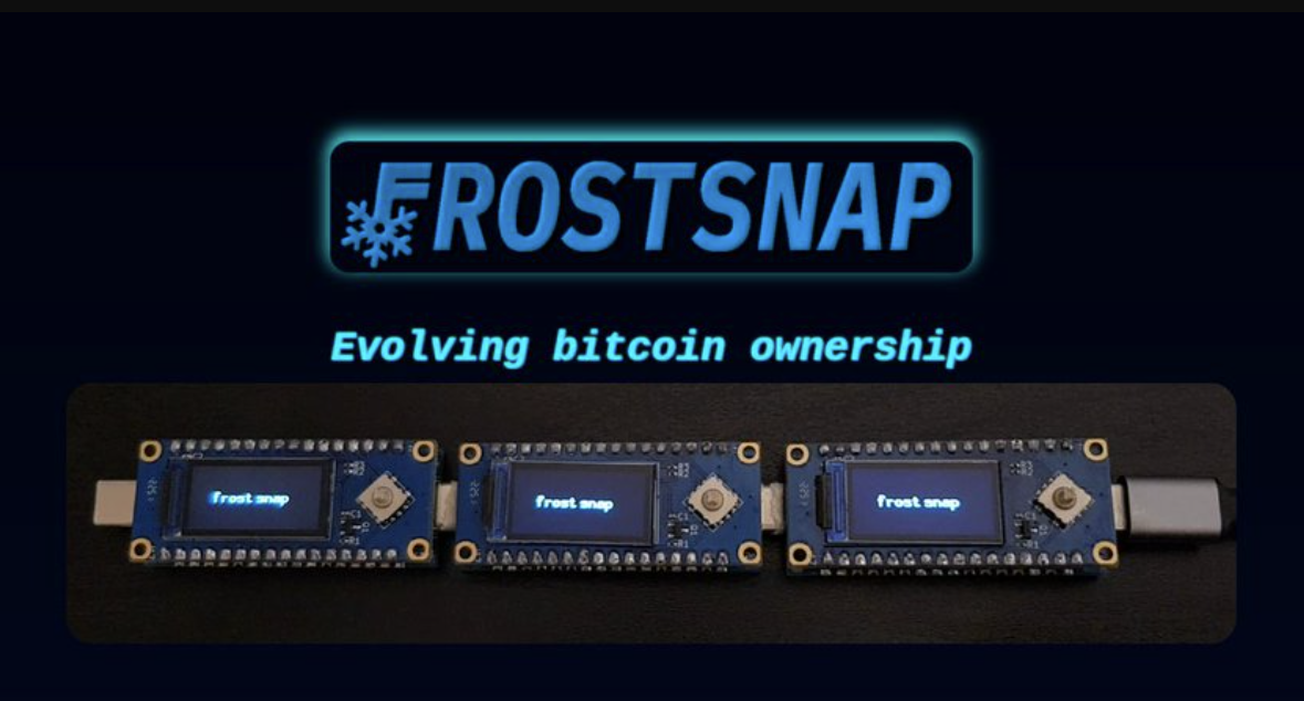 Frostsnap: Easy & Personalized Multisig with FROST