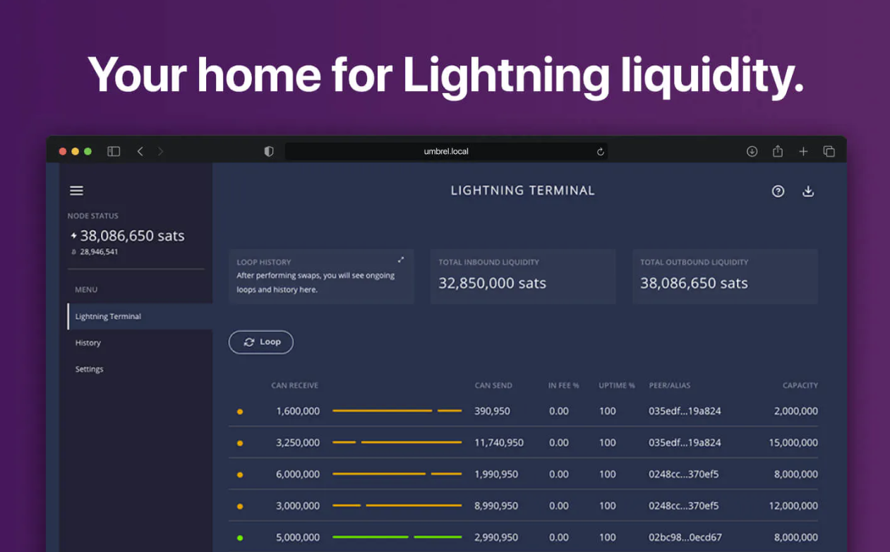 Lightning Terminal v0.10.5-alpha Released