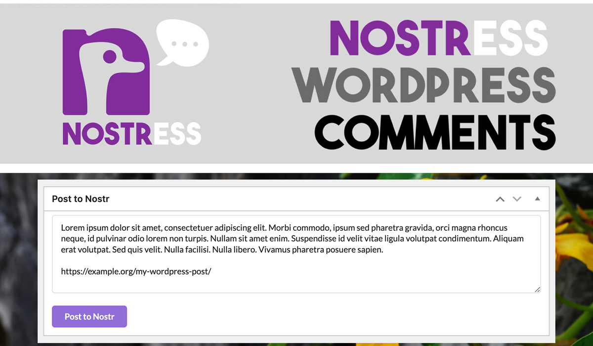 WordPress Plugins for Nostr: Nostress & Nostrtium
