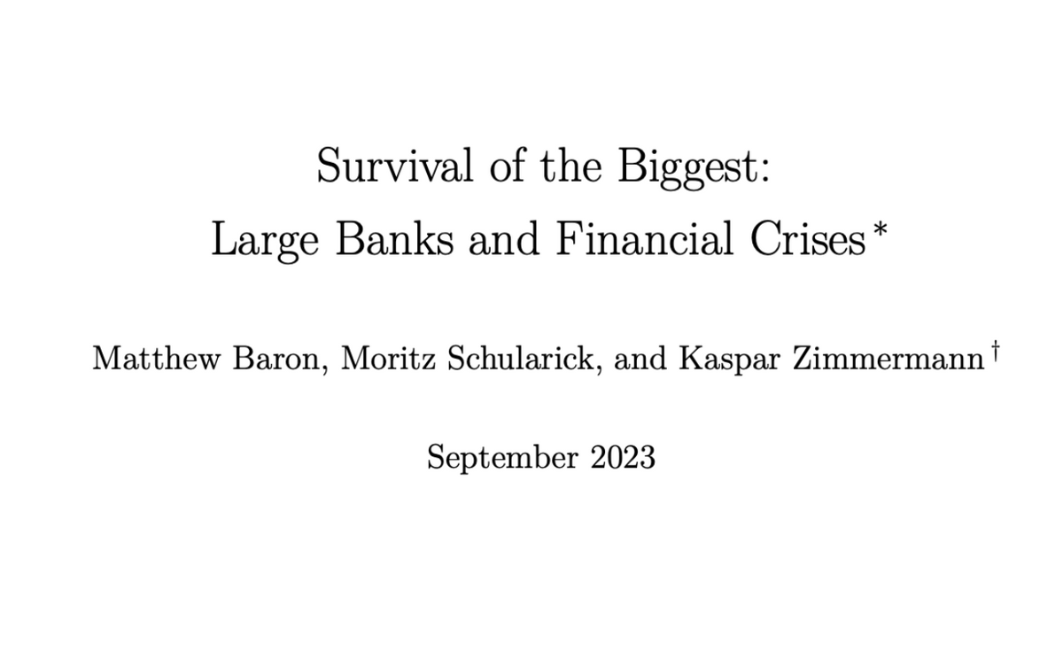 Survival of the Biggest: Large Banks & Financial Crises