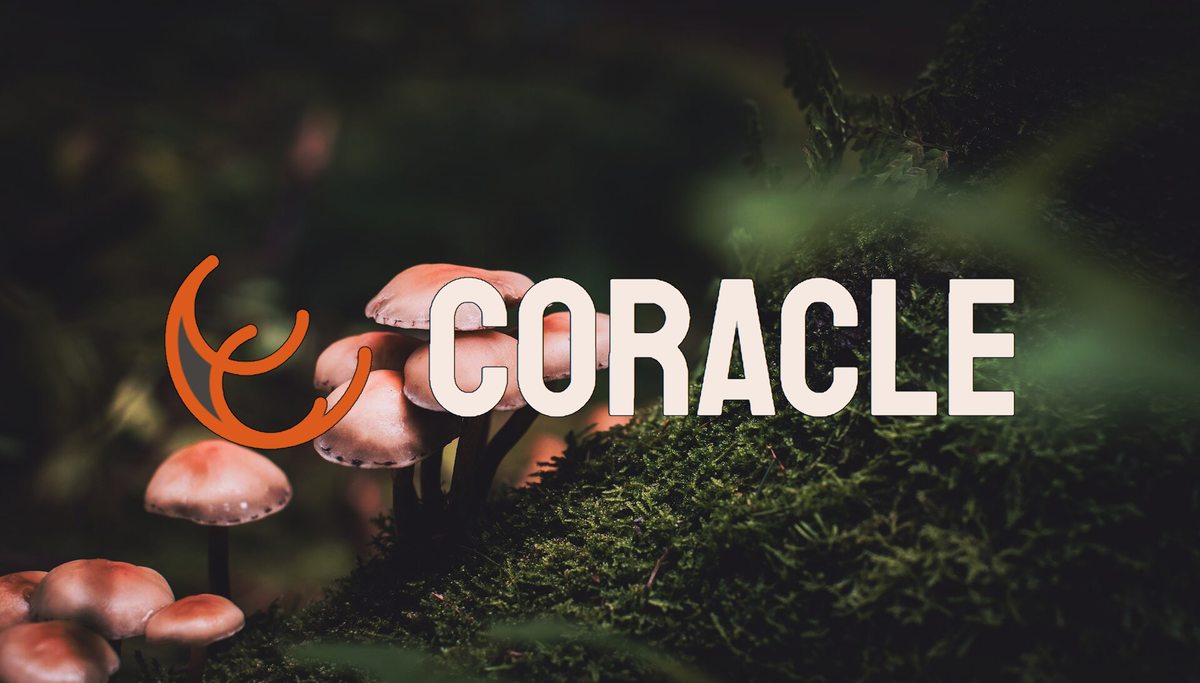 Coracle v0.4.0: Private Groups