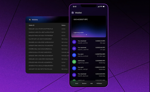 Lightspark Unveils Wallet SDK, New Partnerships with Compliance, Surveillance Firms