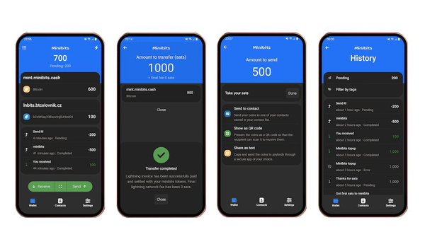 Minibits Wallet: Mobile E-Cash Wallet with Focus on Usability