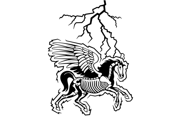 Zeus Wallet Announced It Will No Longer Require Users To Run A Separate Node