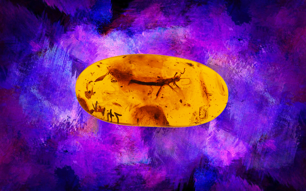 Amber v0.0.2: Nostr Event Signer for Android