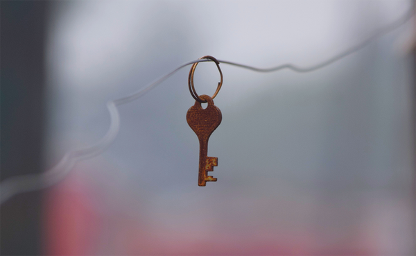 Hardware Wallet Interface v2.3.1