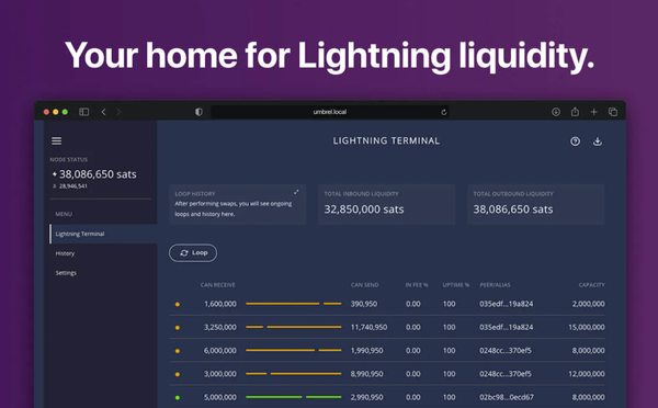 Lightning Terminal v0.10.5-alpha Released