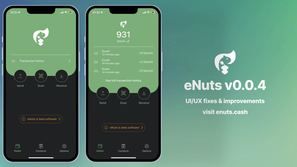 eNuts v0.0.4-beta: Smoother, More Reliable Experience