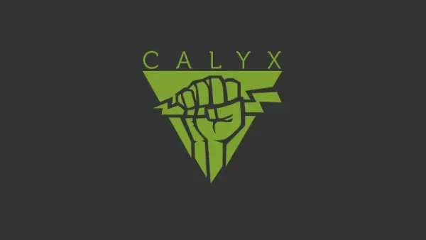 CalyxOS v5.0.1: Android 14 for Pixels 5 and Newer