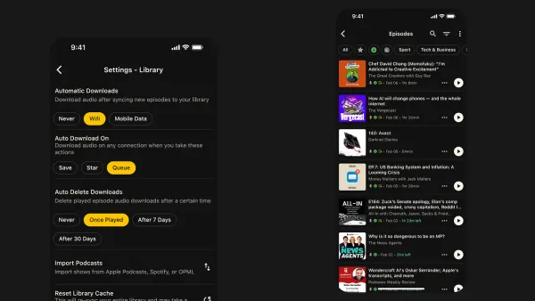Fountain v1.0.6: Background Audio Downloads