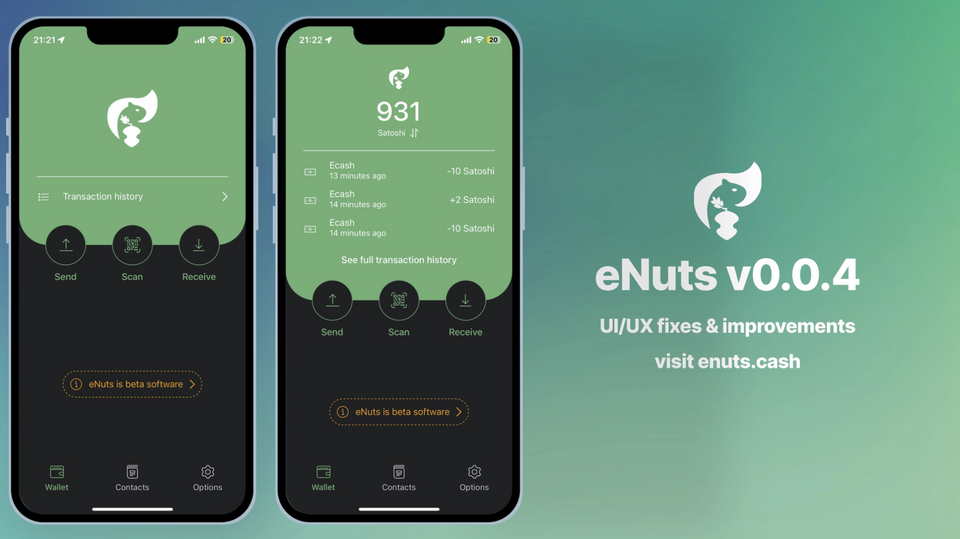 eNuts v0.0.4-beta: Smoother, More Reliable Experience