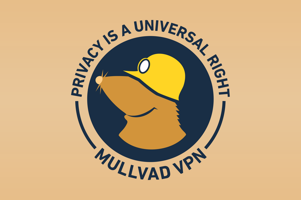 Mullvad Partnered with Tailscale, Completed Migration to RAM-only VPN Infrastructure
